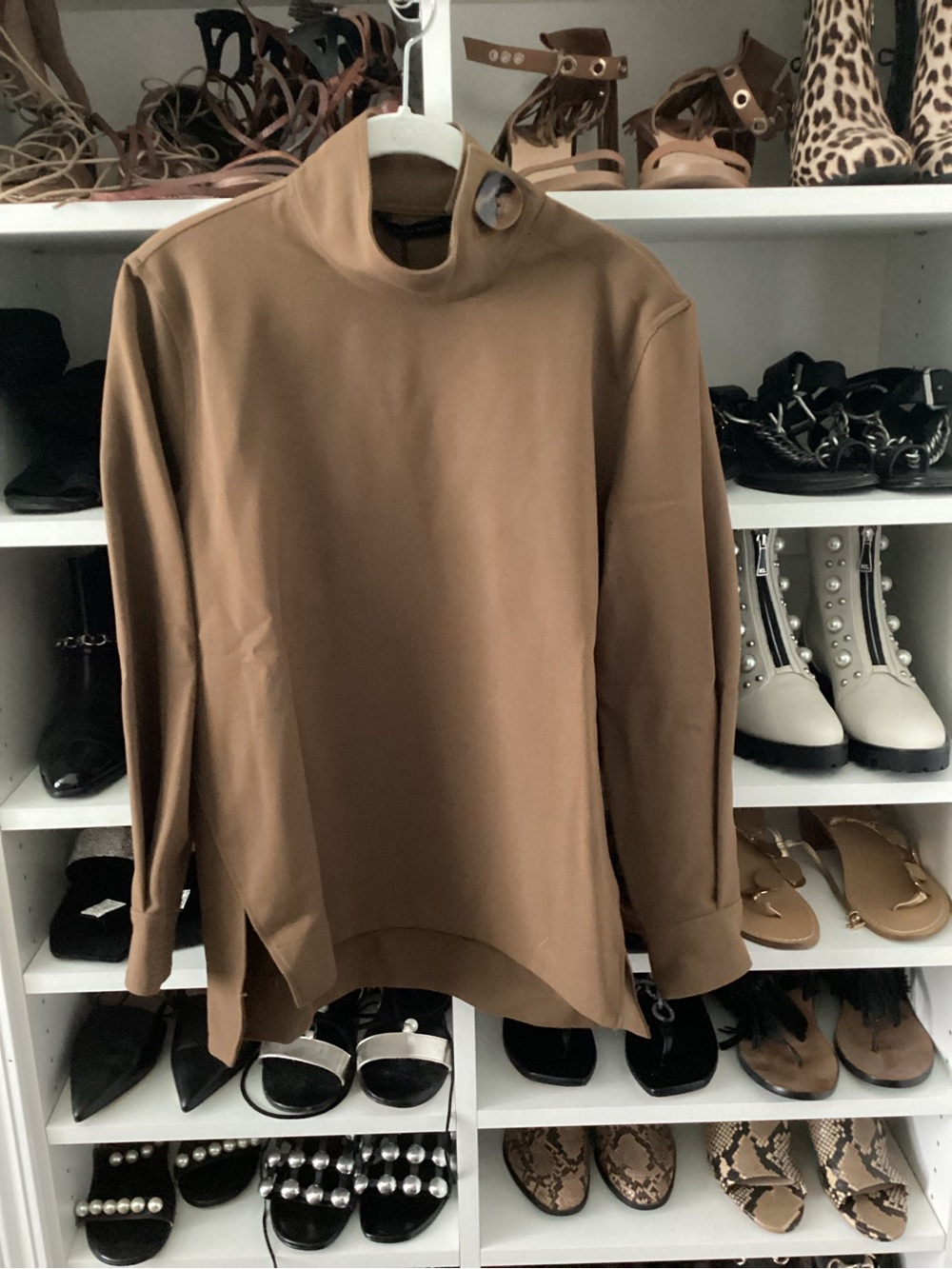 Zara Mock Neck Long Sleeve Top in Brown